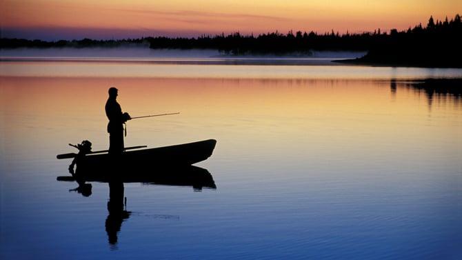 Lake Anna Fishing Guide: Stripers, Bass, and Crappie